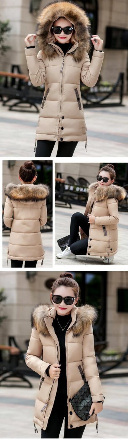 Casual Elegant Fur Collar Hooded Padded Ladies Jacket