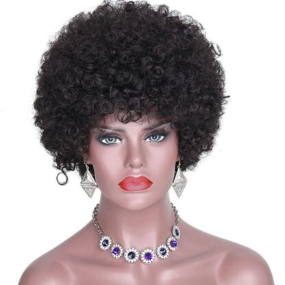 Black Blonde Kinky Curly Afro Women Wigs