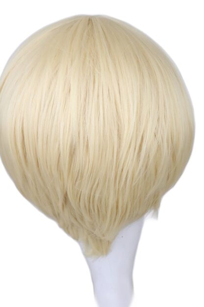 Party Short Blonde Mens Wigs