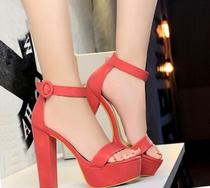 Elegant Party High Heels Pumps Ankle-Wrap Buckle Strap Round Heels Womens Sandals Platform Shoes