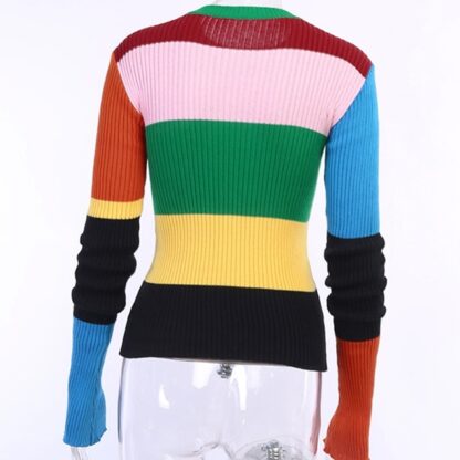Striped Floral Multicolor Women Sweater