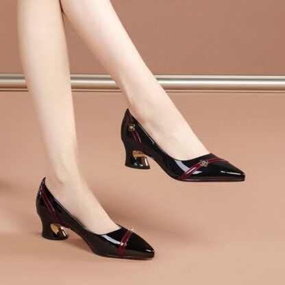 Elegant Pointed Toe Womens Pumps Shoes